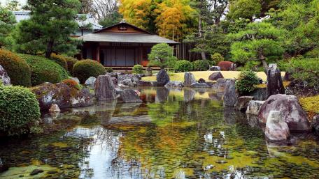 Serene Japanese Garden and Pond wallpaper