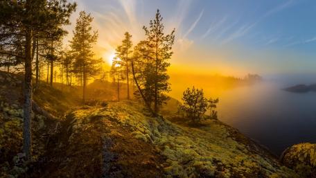 Golden Sunrise Over Misty Landscape wallpaper