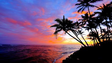 Tropical Serenity at Sunset wallpaper