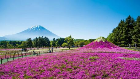 Twin Volcanoes wallpaper