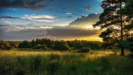 Serene Rural Sunset Over a Lush Field wallpaper