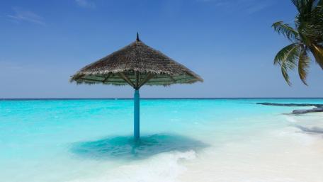 Serene Tropical Beach Escape wallpaper
