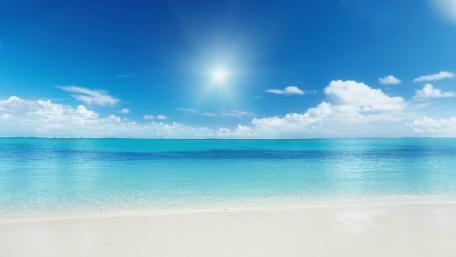 Serene Beach Elegance Under a Bright Sky wallpaper
