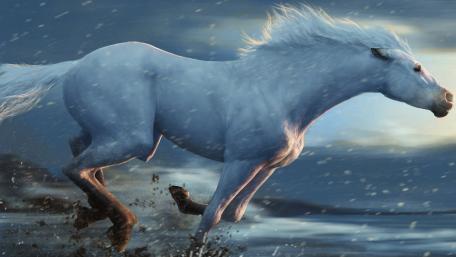 Majestic Blue Running Horse Wallpaper wallpaper