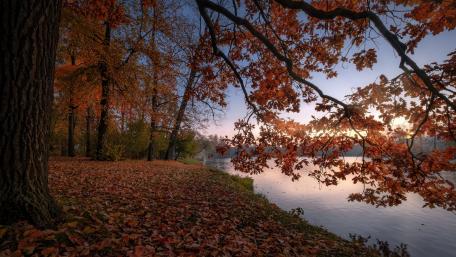 Vibrant Autumn Reflections in Nature Life wallpaper