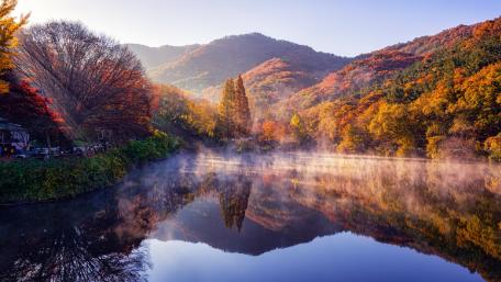 Autumn Serenity in Nature's Embrace wallpaper