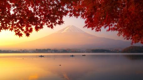 Red mapple leaves and Mount Fuji wallpaper