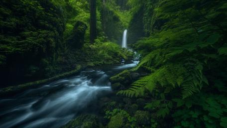 Tranquil Waterfall in Lush Greenery wallpaper