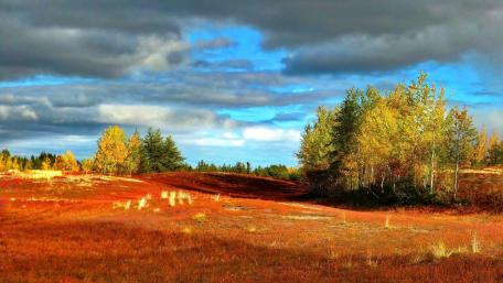 Vibrant Autumn Landscape with Cloudy Sky wallpaper