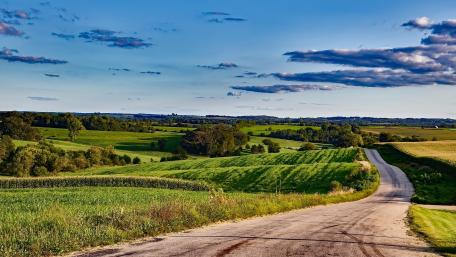 Serene Rural Roadway in Nature's Embrace wallpaper