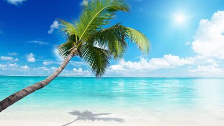 Tropical Paradise Under a Clear Sky wallpaper