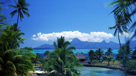 Tropical Paradise Under Blue Skies wallpaper