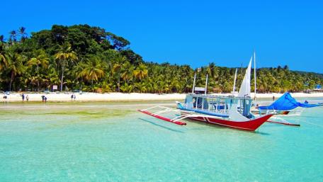 Tropical Serenity by the Shore wallpaper