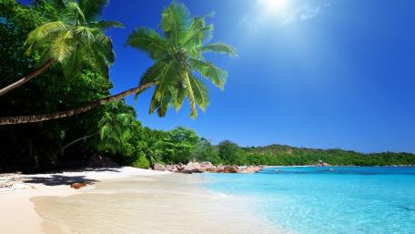 Tropical Paradise Under Sunlit Skies wallpaper