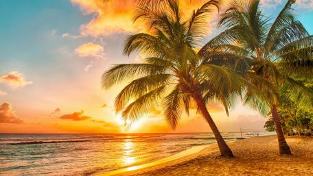 Tropical Sunset Serenity at the Beach wallpaper