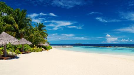 Serene Tropical Beach Paradise wallpaper