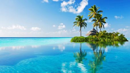 Tropical Bliss by the Sea wallpaper