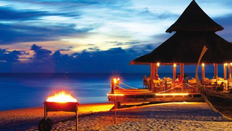 Tropical Evening Oasis by the Beach wallpaper