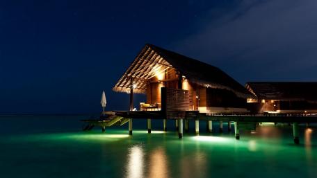 Tropical Serenity at Twilight wallpaper