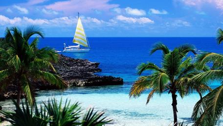 Tropical Sailboat Adventure on Pristine Waters wallpaper