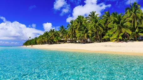 Serene Beach Paradise with Palm Trees and Clear Waters wallpaper