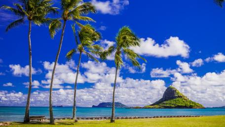 Hawaii wallpaper