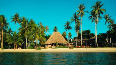 Tropical Bungalow Amidst Lush Palms and Blue Skies wallpaper