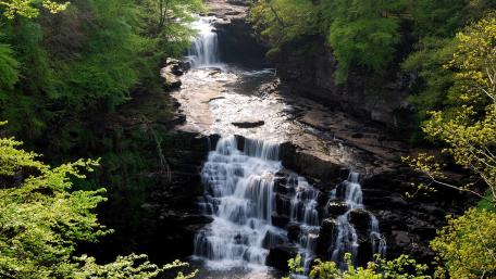 Majestic Waterfall Surrounded by Lush Greenery wallpaper