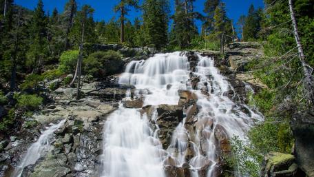 Majestic Waterfall Surrounded by Lush Forests wallpaper