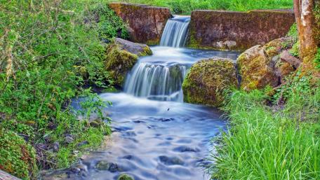 Tranquil Moments by the Creek wallpaper