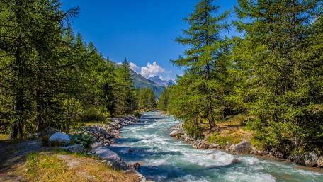 Tranquil River Surrounded by Lush Greenery and Mountains wallpaper
