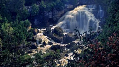 Majestic Waterfall Surrounded by Lush Greenery wallpaper