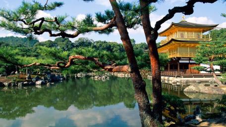 Golden Pavilion wallpaper