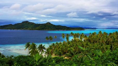Tropical Paradise Awaits You wallpaper