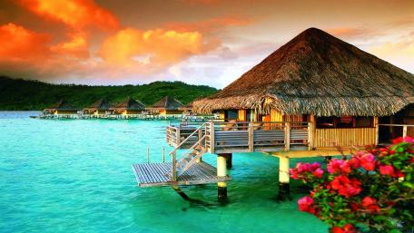 Tropical Paradise by the Sunset wallpaper