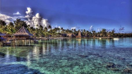 Tropical Serenity by the Sea wallpaper