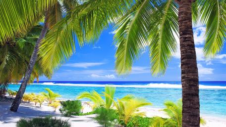 Tropical Paradise Under Sunny Skies wallpaper
