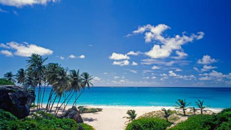 Tropical Paradise by the Blue Sea wallpaper