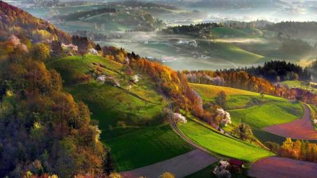 Autumn Serenity in Lush Hillside Views wallpaper