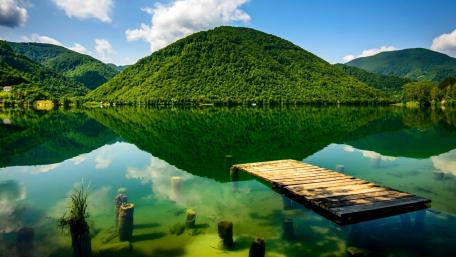 Serene Green Nature Reflections at the Pier wallpaper