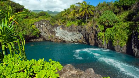 Tropical Lagoon Paradise Summer Escape wallpaper