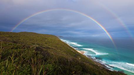Vibrant Rainbow Over Serene Coastline Scene wallpaper