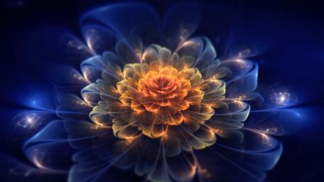 Glowing Symphony of Colors: Digital Floral Fantasy wallpaper