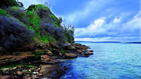 Serene Coastal Landscape with Lush Greenery wallpaper