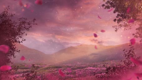 Mystical Pink Meadow at Dusk wallpaper