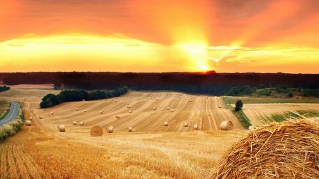 Golden Sunset Over Rolling Fields and Hay Bales wallpaper