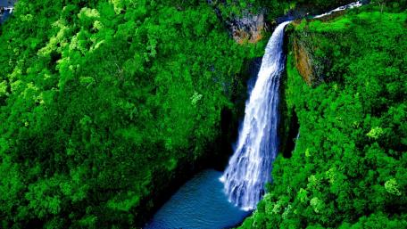 Mystical Green Waterfall Paradise wallpaper