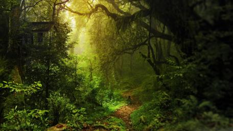 Hidden house wallpaper