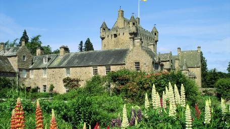 Charming Castle Surrounded by Lush Gardens and Flowers wallpaper