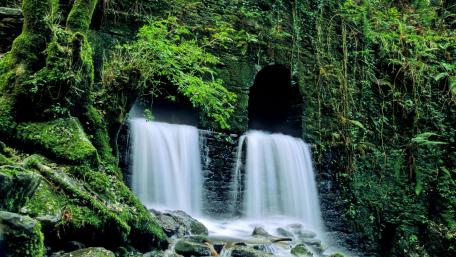 Tranquil Waterfalls in a Lush Forest Setting wallpaper